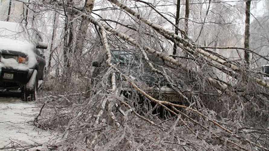 Фото носит иллюстрационный характер
