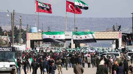 Белорусским студентам предложили учиться программированию в Сирии