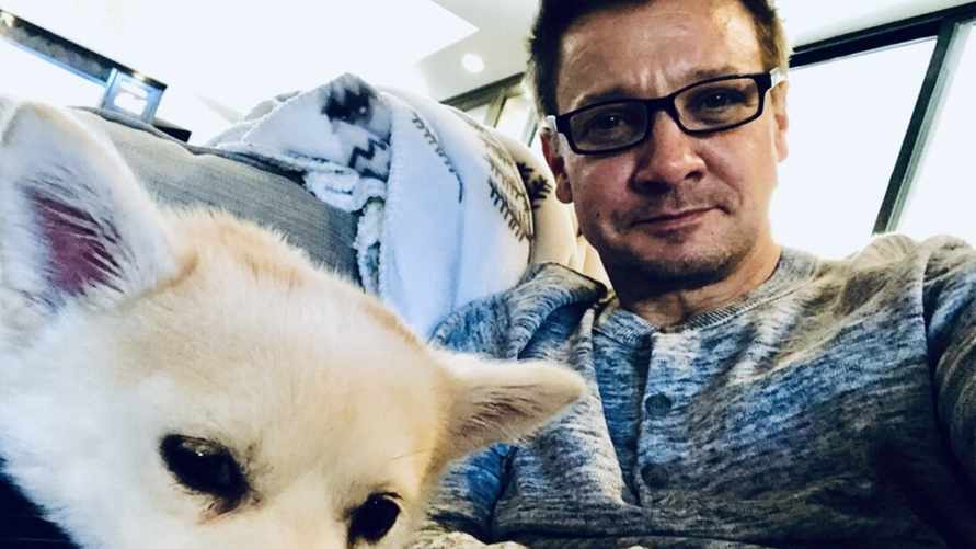 "Соколиному глазу" сделали две операции после снежной бури в США