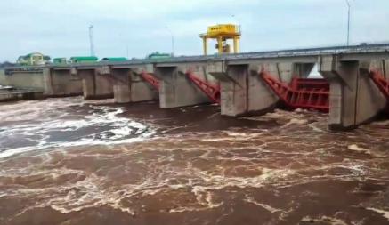 В Беларуси на реках начался паводок из-за «аномального потепления»