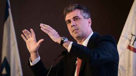 Глава МИД Израиля решил приехать в Киев