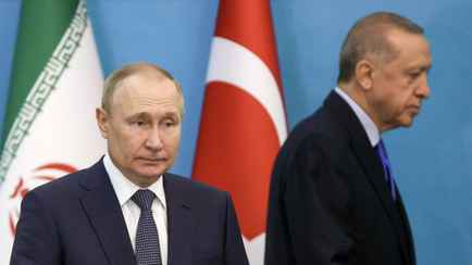 Эрдоган призвал Путина прекратить огонь в Украине в одностороннем порядке