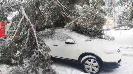 В Беларуси объявили оранжевый уровень опасности на 19 января