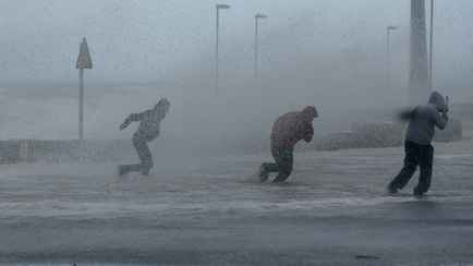 Оранжевый уровень опасности объявили в Беларуси на 3 января из-за сильного ветра