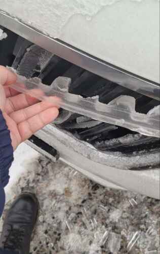 Фото: Pashpok для тг-канала @nadvorie