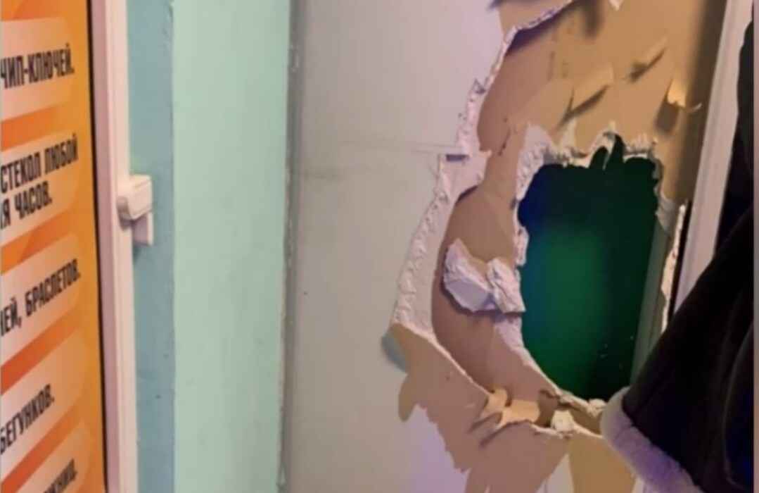 Минчанка пробила стену зоомагазина, чтобы украсть корм