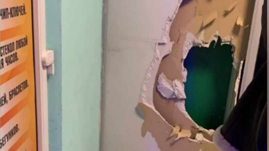 Минчанка пробила стену зоомагазина, чтобы украсть корм