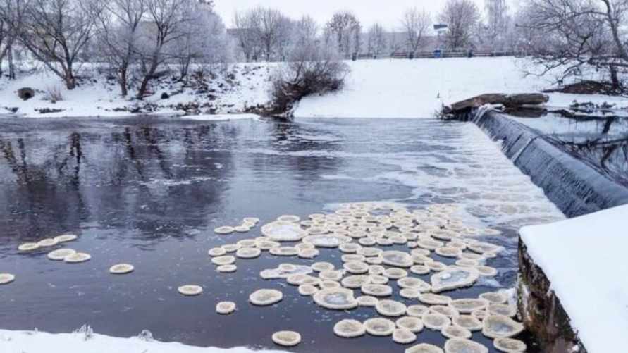 В Литве на притоке Немана заметили "ледяные блины"