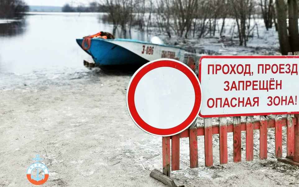 Фото: ОСВОД