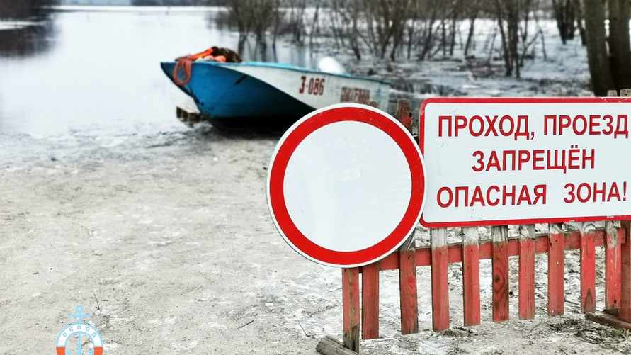 Фото: ОСВОД