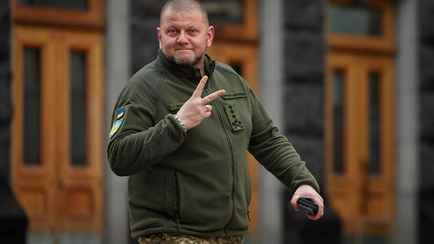 Главнокомандующий ВСУ Залужный получил в наследство $1 млн