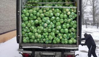 В Гомеле поставщика оштрафовали за наценку на овощи в 267%