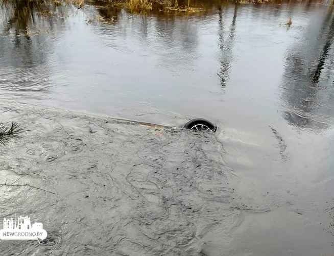 Фото: Newgrodno.by