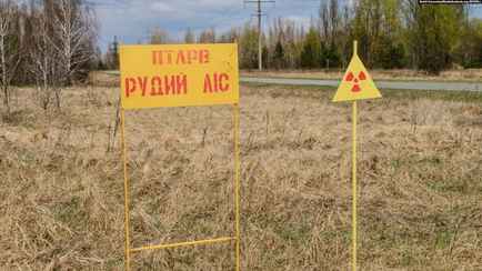 Киев готовит отчёт о сильном радиационном заражении Украины — СМИ