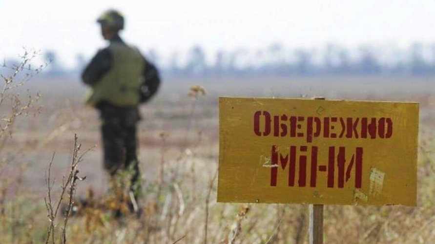 Украина решила заминировать 2-километровую полосу вдоль белорусской границы