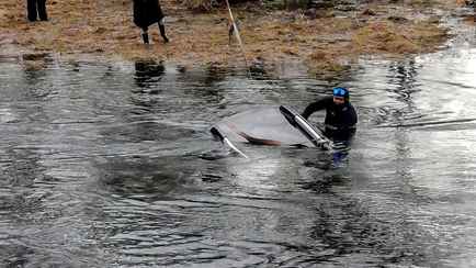Под Лидой водитель утопила в реке автомобиль