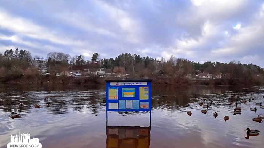 Фото: NewGrodno.by