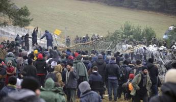 ГПК предупредил о тысячах нелегалов из Польши на границе Беларуси