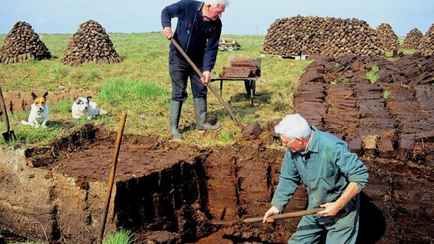 В Беларуси подсчитали, на сколько лет хватит запасов торфа