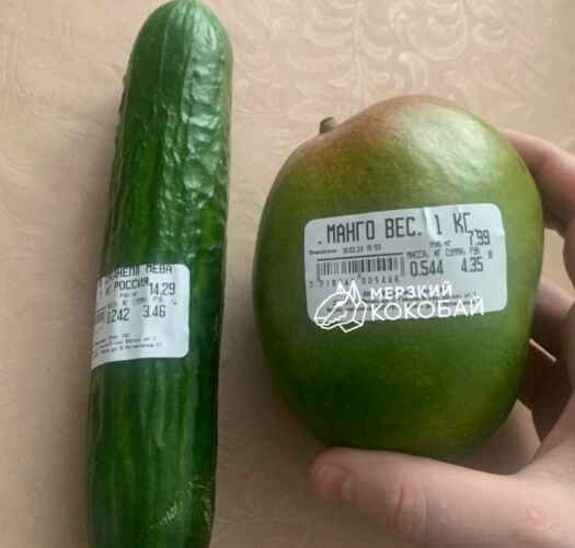 Фото: Мерзкий Кокобай