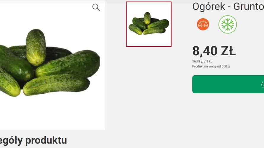 Скриншот: Виртуальный Брест