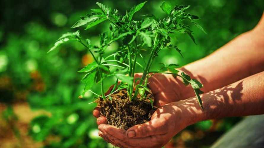 Фото иллюстрационное