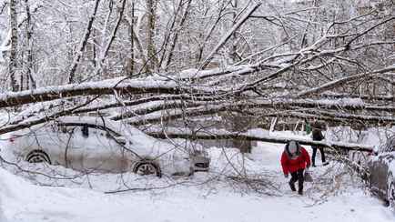 Белгидромет объявил на выходные оранжевый уровень опасности