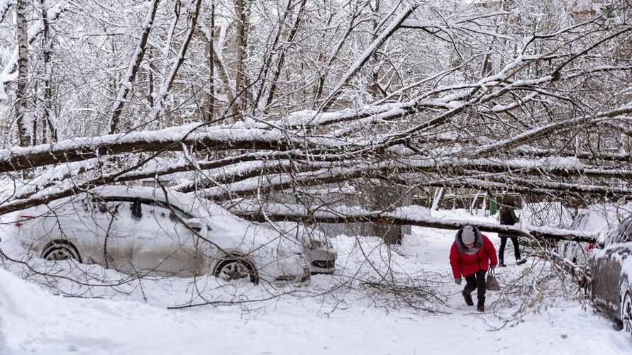 Фото иллюстрационное