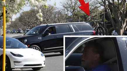 Шварценеггер сбил женщину и забрал ее велосипед