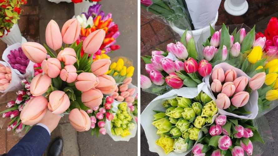 В Минске начали продавать тюльпаны. По чем?