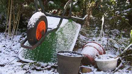Что сделать в саду и огороде в феврале? Снег вам только поможет