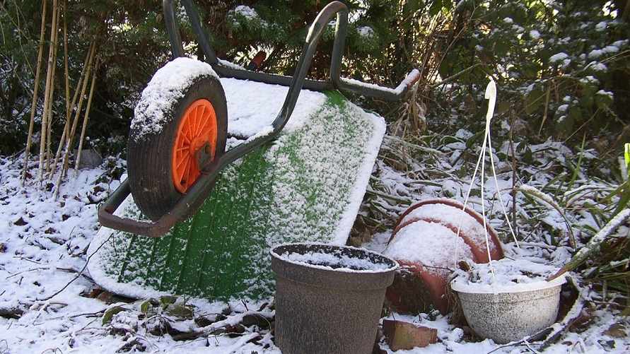 Что сделать в саду и огороде в феврале? Снег вам только поможет