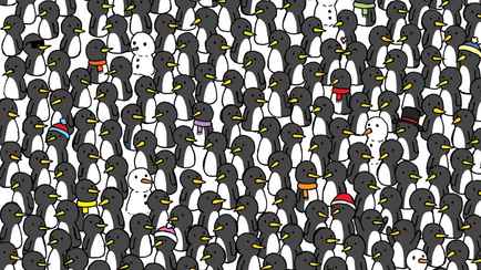 Только 3% могут найти трех котов среди пингвинов за 30 секунд. А вы справитесь?