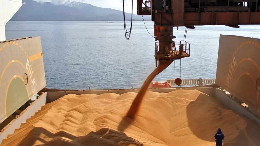 Турция и ООН потребовали от Запада «железобетонных гарантий» по зерновой сделке