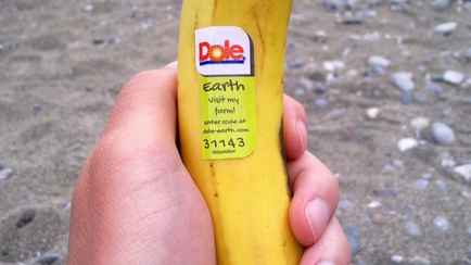 Как узнать, что фрукты обработали пестицидами или они ГМО? Ищите эти цифры на наклейке