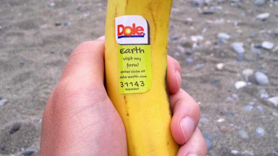 Как узнать, что фрукты обработали пестицидами или они ГМО? Ищите эти цифры на наклейке