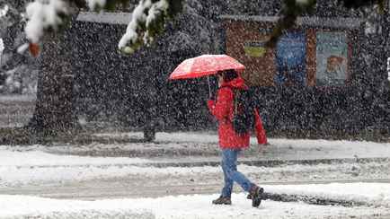 Кому из белорусов ждать грозы, а кому — заморозки? Синоптики рассказали о погоде в первые выходные апреля