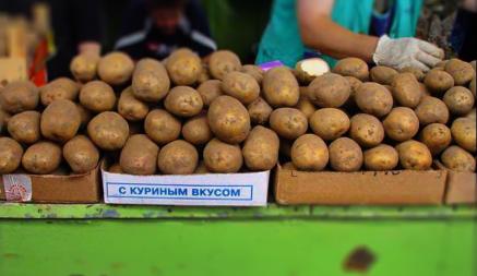 В ФПБ рассказали о трех видах картошки, которые нашли в белорусских магазинах. Чем отличаются?
