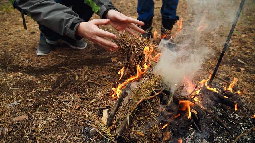 Кому из белорусов грозит штраф за разжигание костров? В МЧС назвали суммы