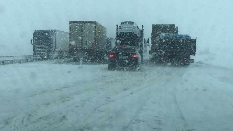 Фото: Госавтоинспекция Ростовской области