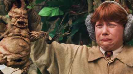 Ученые опубликовали запись, как «кричат» растения