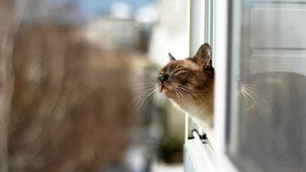 Будет ли еще снег? Синоптики пообещали белорусам от -10°С до +14°С на выходных