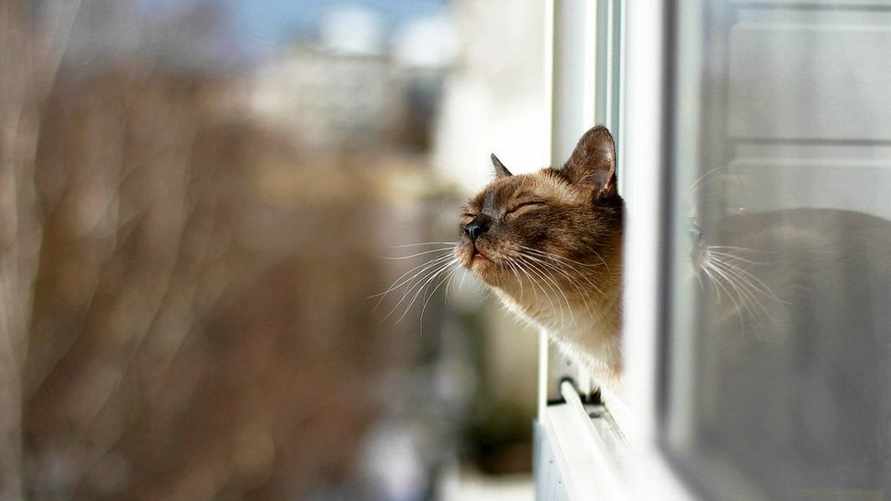 Будет ли еще снег? Синоптики пообещали белорусам от -10°С до +14°С на выходных