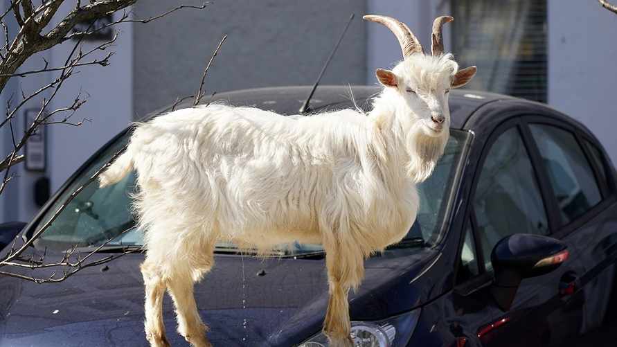 Фото иллюстрационное