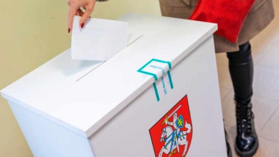 В Литве проходят местные выборы, в которых разрешили участвовать белорусам