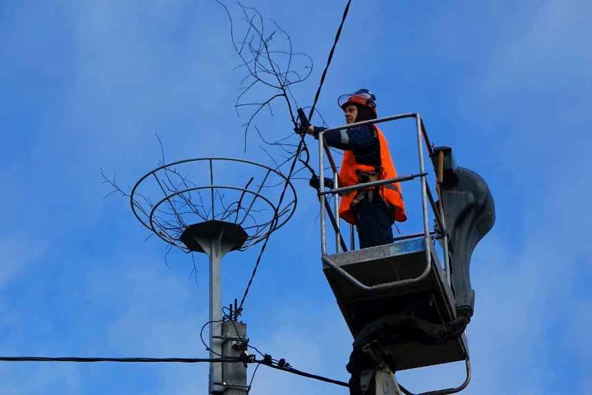 Энергетики показали, какие ставят на юге Беларуси конструкции на ЛЭП специально для аистов