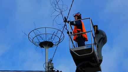 Энергетики показали, какие ставят на юге Беларуси конструкции на ЛЭП специально для аистов