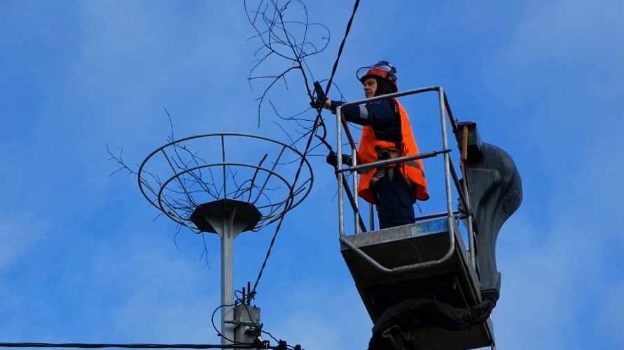 Энергетики показали, какие ставят на юге Беларуси конструкции на ЛЭП специально для аистов