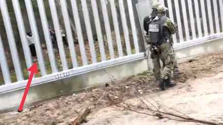 В ГПК объяснили почему мигранты забросали из Беларуси камнями польских пограничников