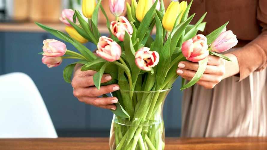 Что сделать, чтобы тюльпаны простояли дольше? Добавьте в воду это